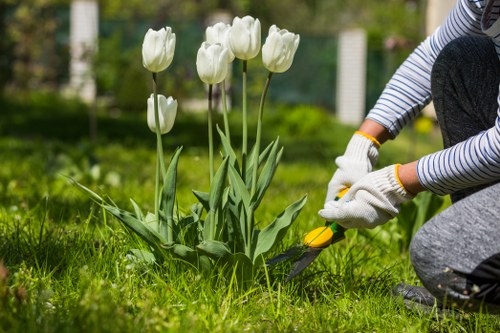 Logo or header image representing Gardening Sutton