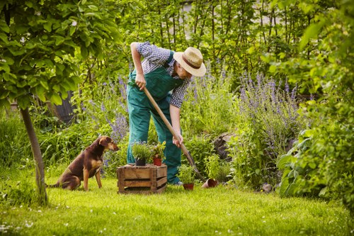 Team preparing a Sutton garden site for maintenance
