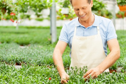 A well-maintained garden with perfectly shaped hedges