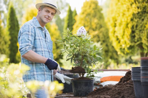Close-up of a gardener using hedge trimmers on a dense hedge