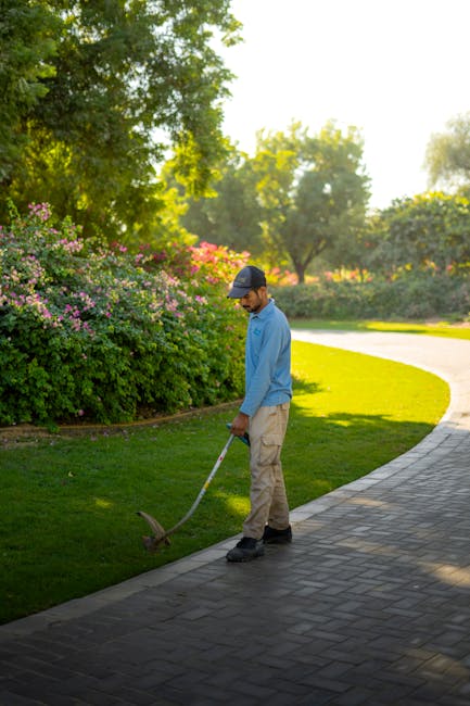 A person wearing a dark hat and long-sleeved black shirt is trimming a neatly maintained, dense hedge with a pair of hedge shears, raising the tools above their head as they shape the foliage. The hed